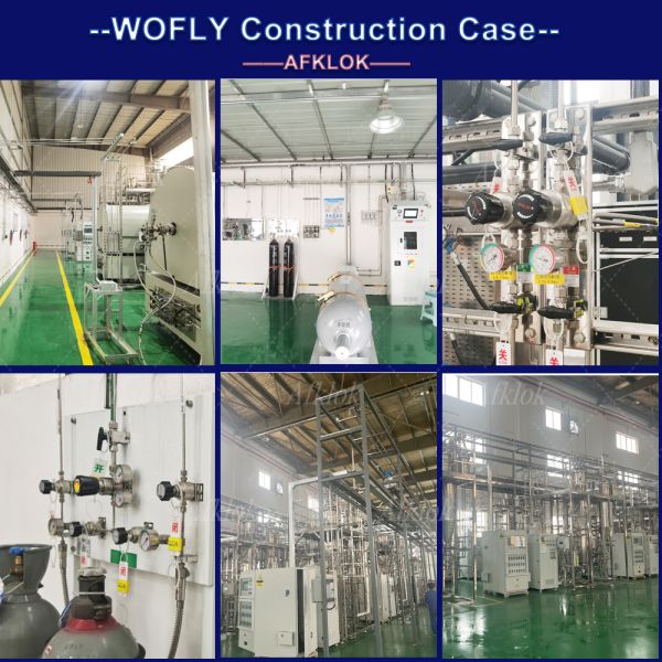 Valve de contre-pression réglable de précision durable entrée 6000psi sortie 1000psi acier inoxydable 316L CV 2.0