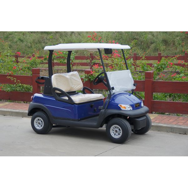 Classis CE Approved 2 Passenger Golf Cart / Electric Golf Club Cart
