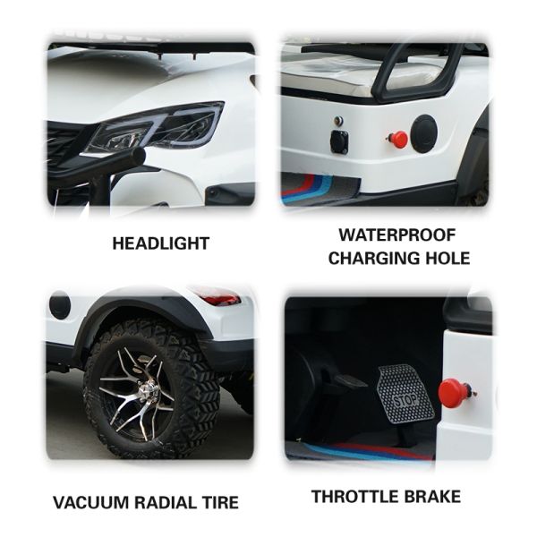 Equipped Standing Position of Tail Caddie Custom Electric Golf Car for Discount Sales