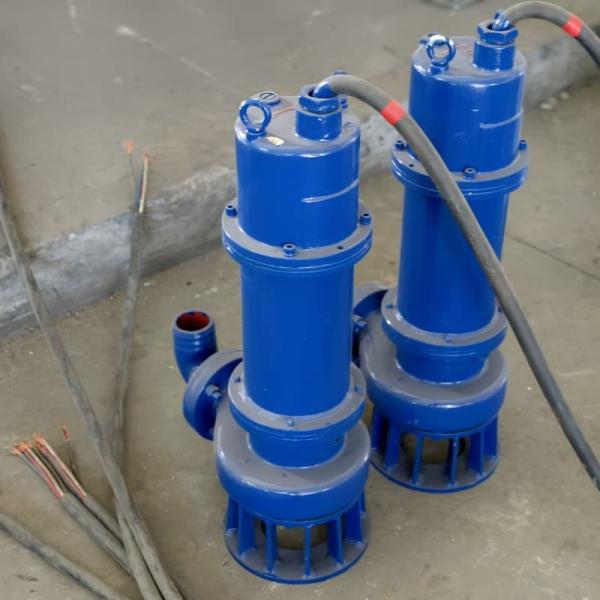 Portable Portable Submersible Sewage Pump Compact Lightweight And Ideal For Flood Drainage And Emergency Use