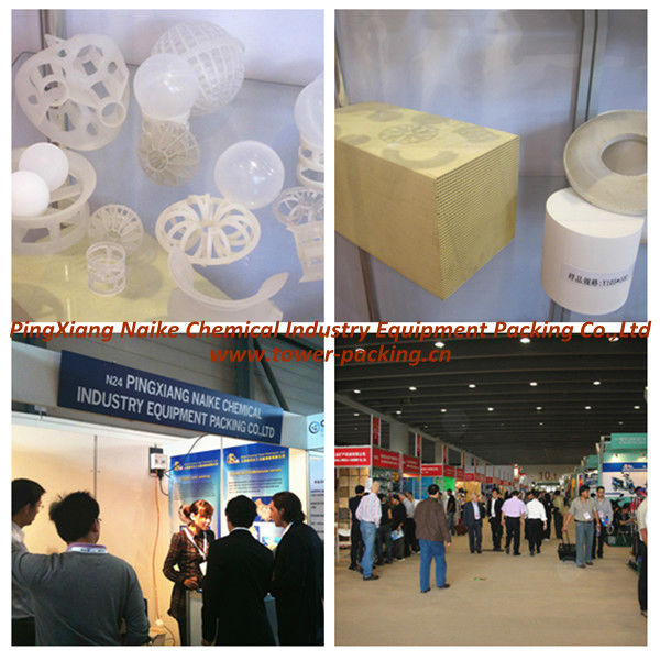 Plastic Cylindrical Ring,Raschig Ring China manufacturer plastic packing raschig ring with PP PE PVC RPP materials