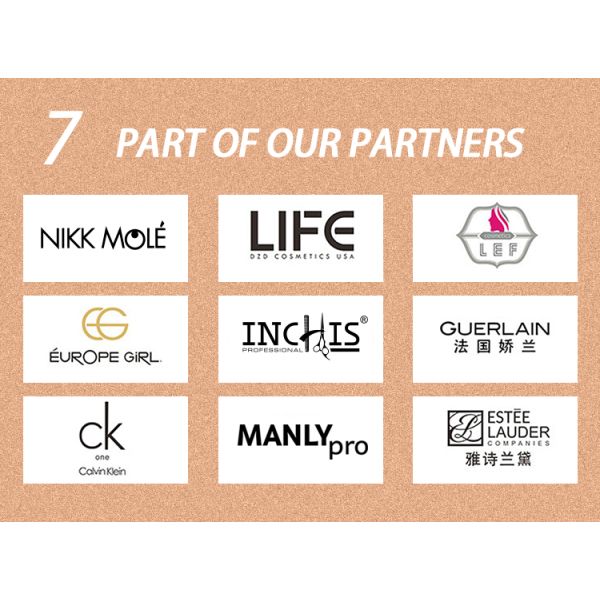 281A25408 8PCS Small Makeup Brush Set Mini Travel Makeup Brush Set With Makeup Bag