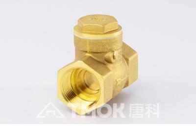 DN20 Tilting Disc Check Valve