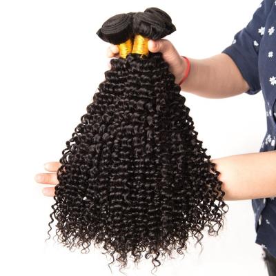 Nenhum Weave não processado encaracolado perverso brasileiro do cabelo humano do Virgin do cabelo 100% do Afro ácido