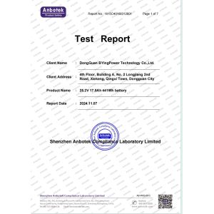 DongGuan BYingPower Technology Co.,Ltd. Сертификации