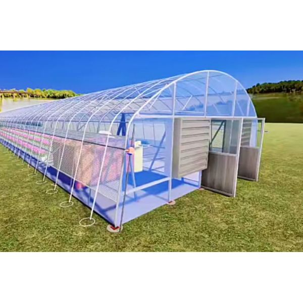 Package Size 50.00cm * 60.00cm * 50.00cm Tunnel Greenhouse for Agriculture and Vegetables