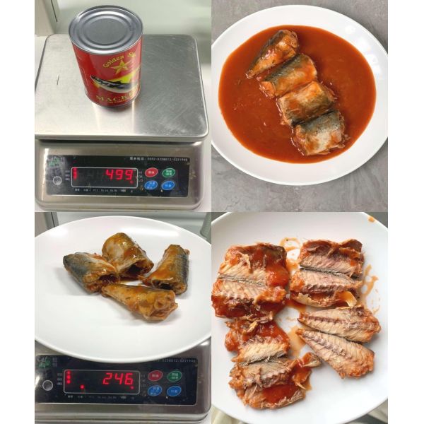 Varies By Product Mackerel Fish Fresh Frozen Whole And Fillet Options Ideal For Seafood Importers And Foodservice Providers