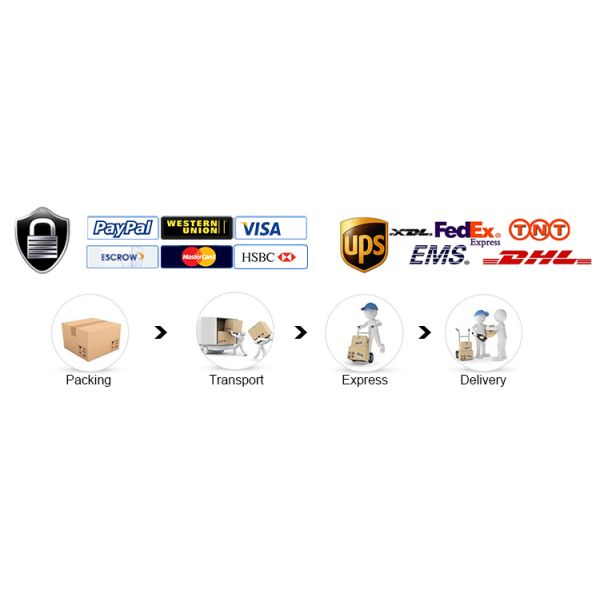 Перец мультфильма горячий/приносит плоды модельный милый подгонянный привод ручки PVC привода 8GB 16GB 32GB USB внезапный