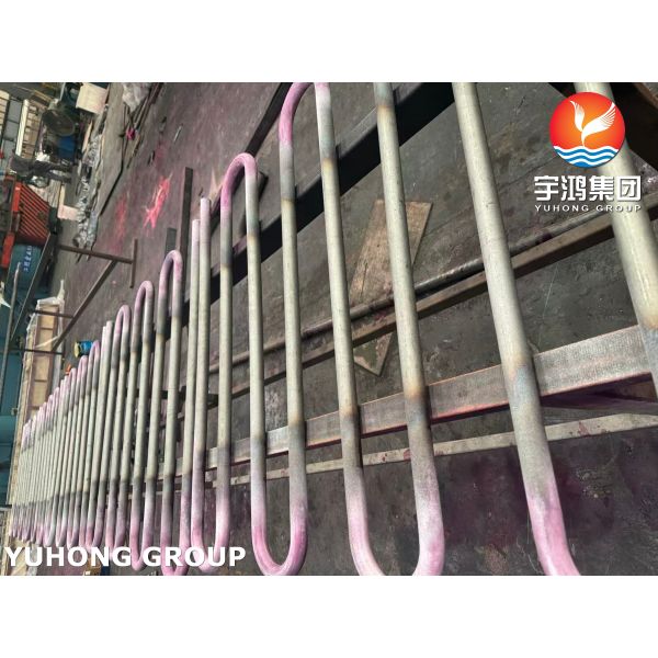 ASTM B163 UNS N08810 Serpentine Coil Tube Incoloy 800H U Bend Heat Exchanger Tube Snake Tube