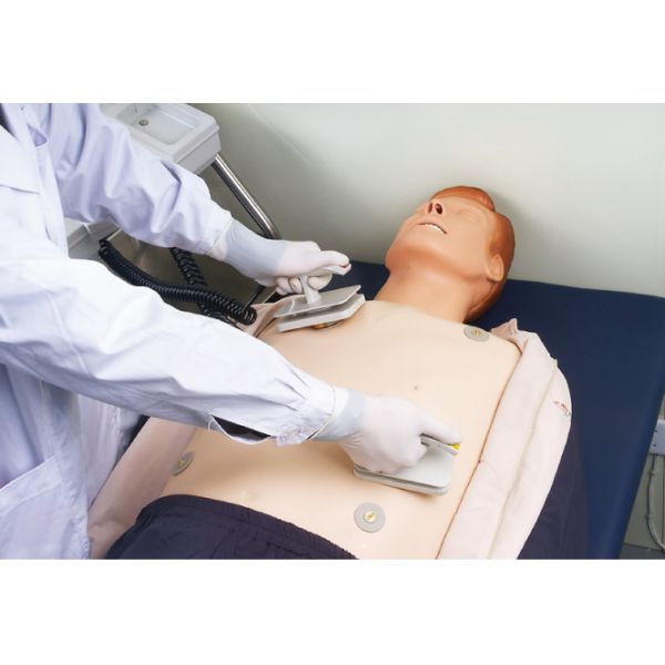 ECG Adult First Aid Manikins with ACLS Computer Screen for Colleges Training