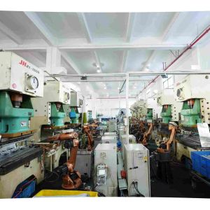 Guangdong Xin Tongshi Group Co., Ltd.