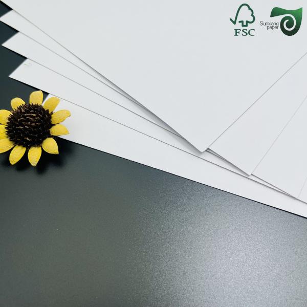 FSC Certified 230gsm Coaster Board Absorbent Paper Sheets With Rapid Water Absorption