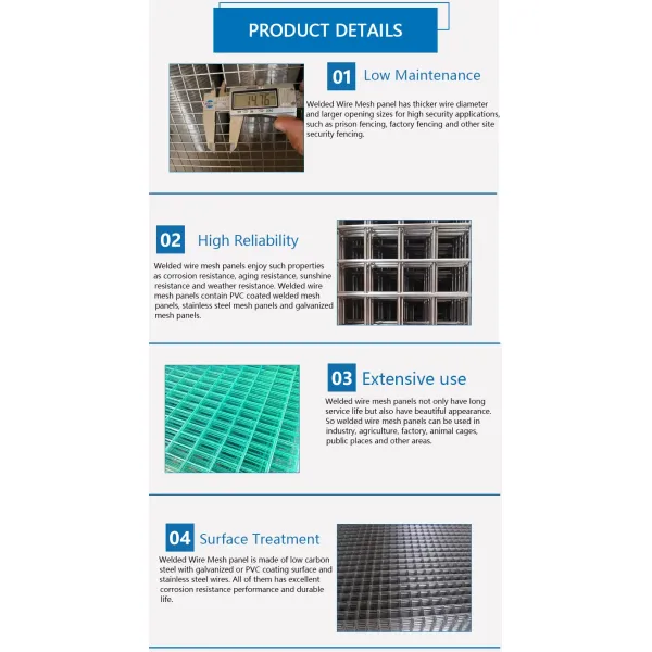Galvanized Metal Welded Wire Mesh Garden Fence Rolls
