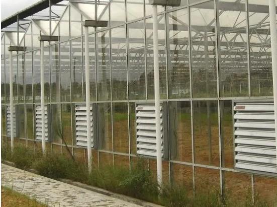 High Performance 50 Inch Galvanized Sheet Hammer Exhaust Fan for Greenhouse Warehouse air Cooling System
