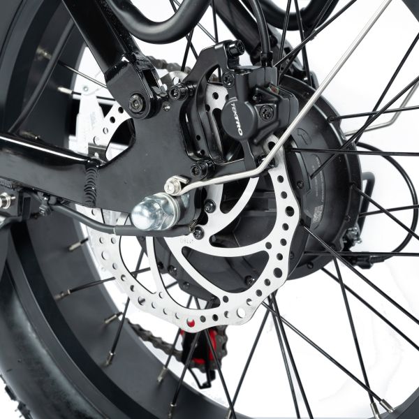 Step-through City Ebike Aluminum Alloy Frame Electric Bikes Rear Hub Motor 70-80 Nm Torque