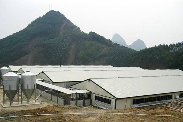 Prefab Steel Structure Poultry House Customized Size / Layout Prefabricated Chicken Houses
