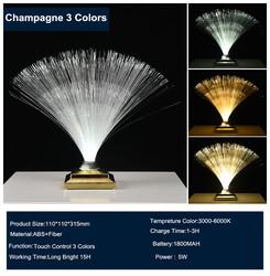 Remote Control Colorful Christmas Xmas Party Decor Luminous Flower Lamp Gradients Led Optic Fiber Star Light