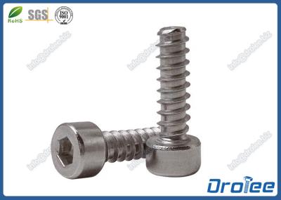 304 / A2 Stainless Steel Hex Socket Cap Head Tapping Screw for Plastic