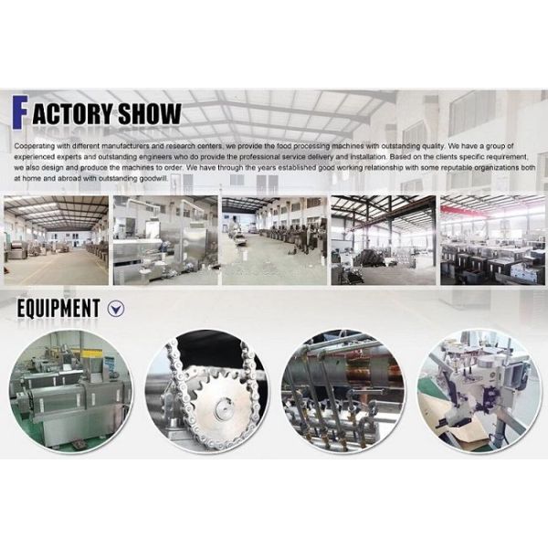 Машина лепешки штрангпресса/корма для животных собачьей еды собаки двойного винта сухая