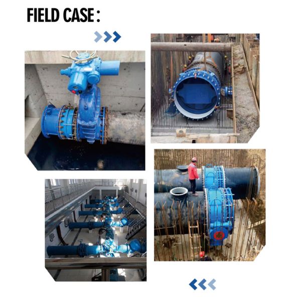 China 4 Inch Top Mounted Flange Eccentric High Pressure Half Ball Check Valve