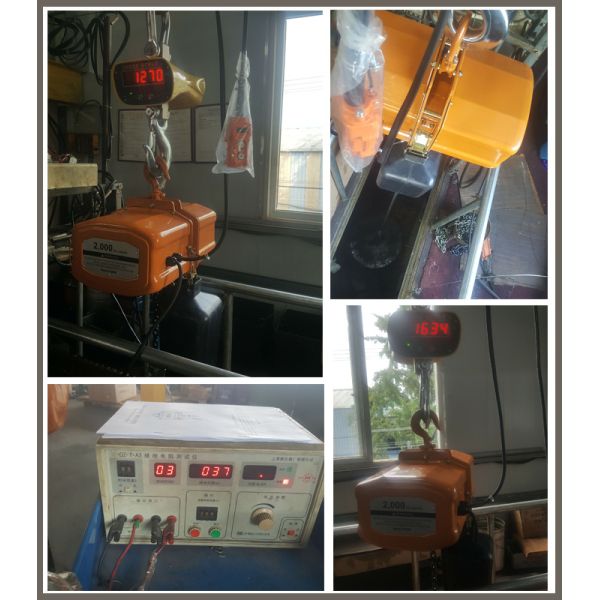 Dual Speed Electric Chain Hoist Red Color Three Phase Max Capacity 5000kg