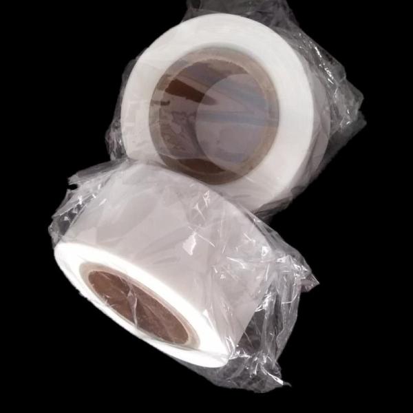 Customized Width, Monofilament PA6 Nylon Polyamide Screen Mesh Ribbon for Filtering
