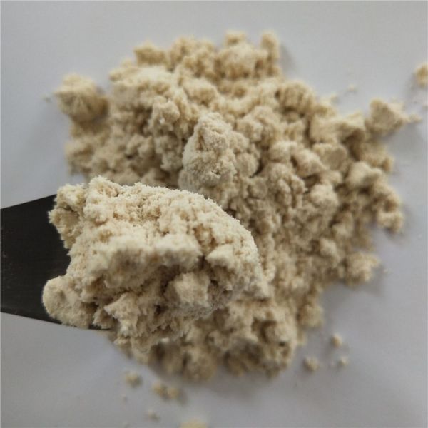 avocado powder buy  best dried avocado powder health benefits supplement products drink dosage pills