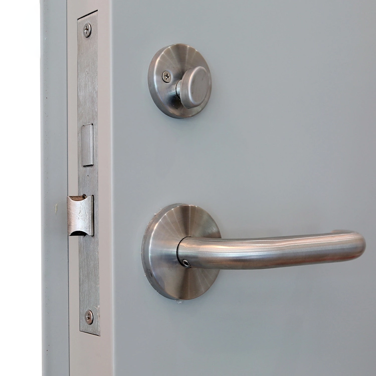 GMP Pu Sandwich Panel Double Swing Clean Room Door