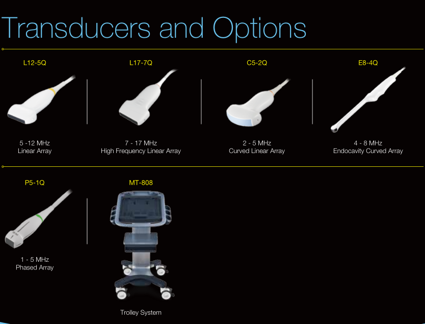 Color Ultrasound Machine Obstetrics And Gynecology Equipment 17MHz Linear Probe