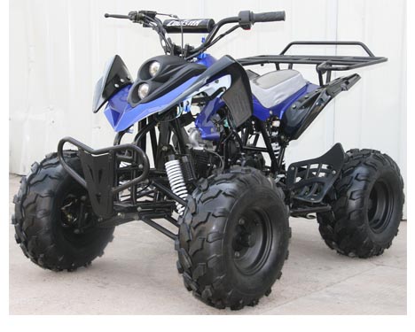 Hand Brake Operation Automatic Sport Atv 125cc Utility Vehicle Atv 101kg