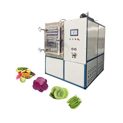 220V Freeze Dryer With 200kg/H Evaporation Capacity In 40 Feet Container