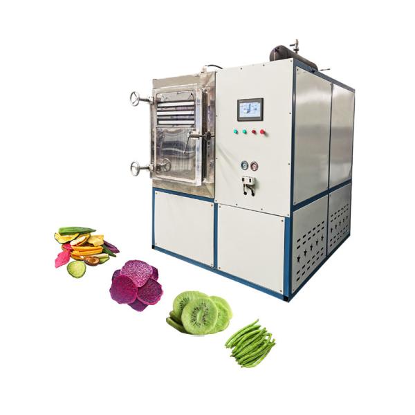 Secador a vácuo para processamento de alimentos de 36 kW para secagem a congelamento de vegetais