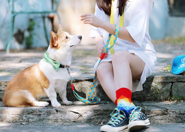 Holiday Xmas Thanksgiving Dog Bowtie Sublimation Printing For Small Medium Dogs