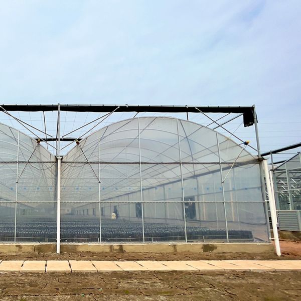 Galvanized Steel Pipe Arch Roof Type Plastic Film Greenhouse With Hydroponics System