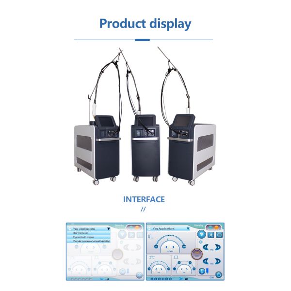 2 dans 1 longue impulsion Q d'Alexander Laser Hair Removal Machine commutez 755 1064 ND Yag