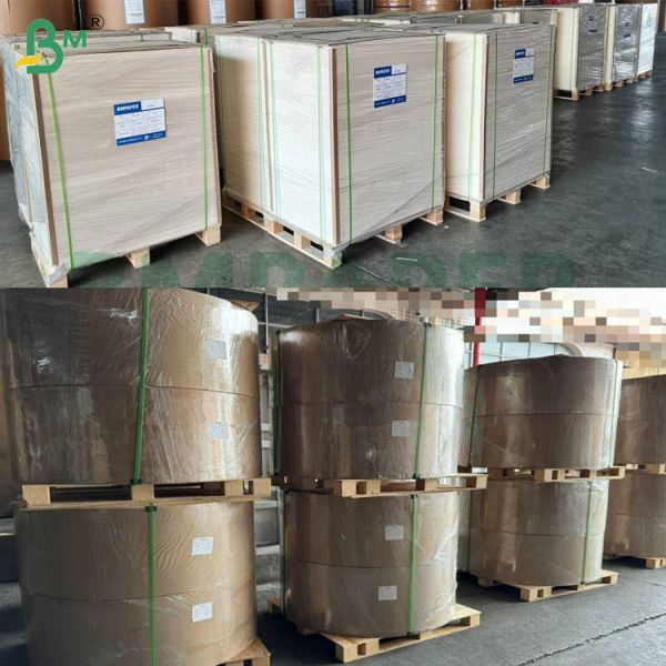 300gsm 330gsm 350gsm Greaseproof Food Grade High Stiffness Foodpack Greaseproof Cardboard Fried Food Packaging Box 300gsm 330gsm 350gsm Greaseproof Food Grade High Stiffness Foodpack Greaseproof Cardboard Fried Food Packaging Box