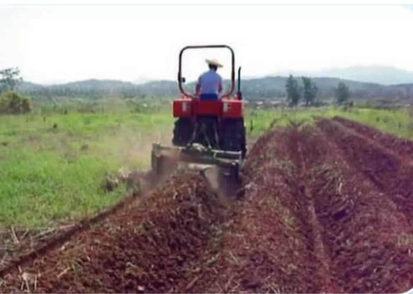 New 70HP Farm Crawler Track Tractor with Steering Wheel for Rice Paddy and Dry Field