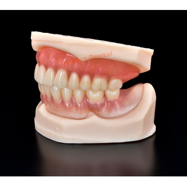 Ultimate Comfort Full Dentures Plastic Flexible Denture Teeth With Gum Base