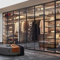 Paseo de cristal de aluminio de la puerta en gabinetes del guardarropa con el lugar y el espejo colgantes