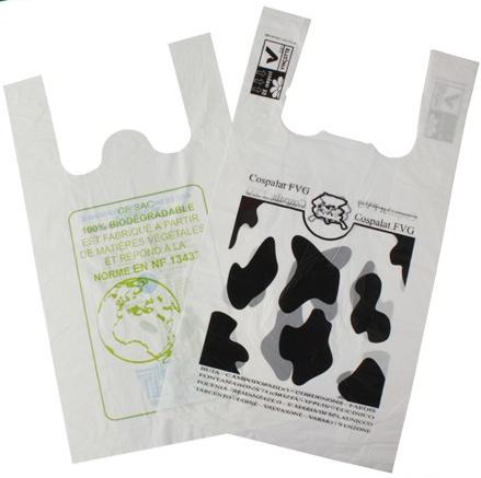Customizable Compostable Mailing Bag Matte PLA Compostable Bags Eco Friendly With Flexiloop Handle