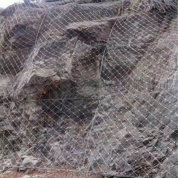 Galvanized Steel Wire Mesh for tensile Rockfall Protection Netting Top-notch Product