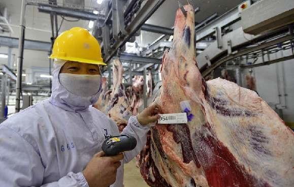 Beef Split Meat Production Line / Processing Line 100-300 Cattle Per Hour Speed