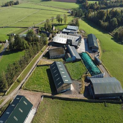 Light Steel Farm Building Chicken Horse Cow Pig House Livestock Poultry Shed