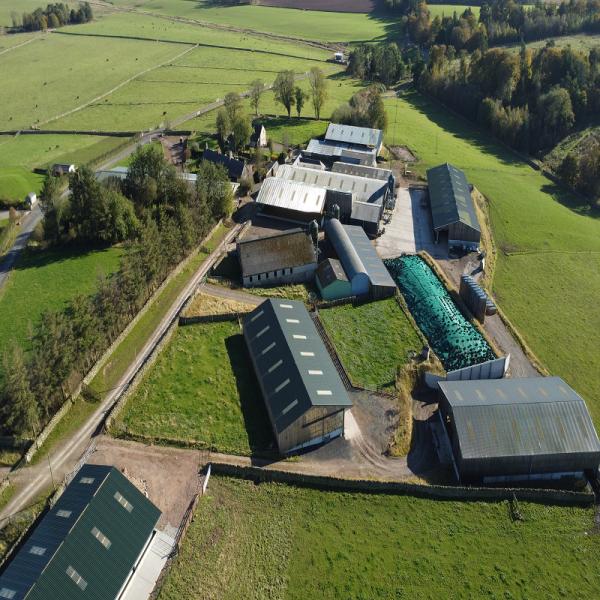 Light Steel Farm Building Chicken Horse Cow Pig House Livestock Poultry Shed