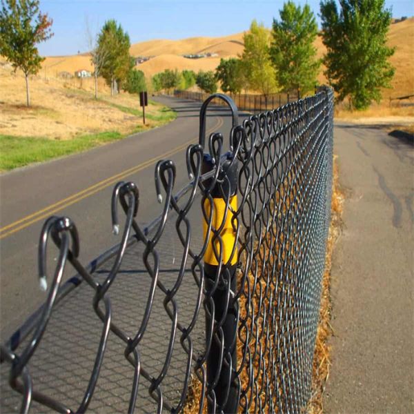 Galvanized Chain Link Fence with PVC Coated and Stainless Steel Surface