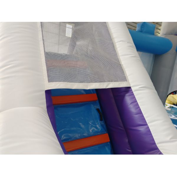 Hot Sale Inflatable Jumping House Frozen Cartoon Inflatable Slide For Party Inflatable Combo Castle For Outdoor Indoor