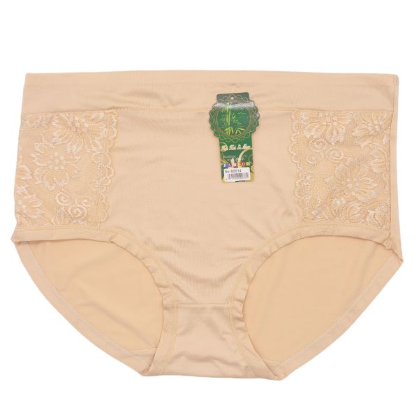 Women 3XL Briefs High Quality Large Size XXXL One Size Brief Panties 10PCS/PACK Ready to Ship Women Panties XXXL