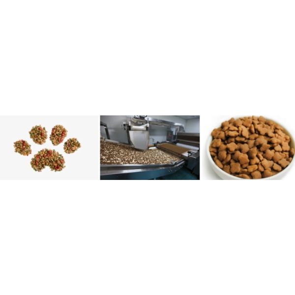 Float Tilapia Portable Dry Sinking Fish Food Pellet Extruder Machine Floating Fish Feed Making Machine