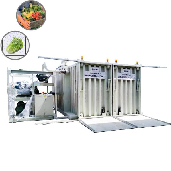 Machine fraîche de réfgigération sous vide d'industrie se refroidissant pré pour des légumes de brocoli de champignon