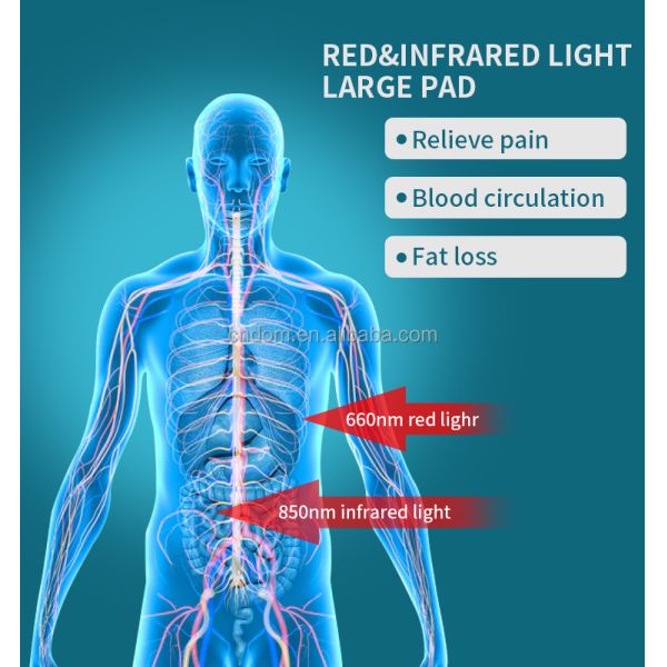 360pcsLED DIP Red Light Therapy Panel for Full Body Relief US Plugs Type Docking 110-240